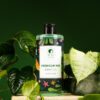 Shower Gel - Image 3